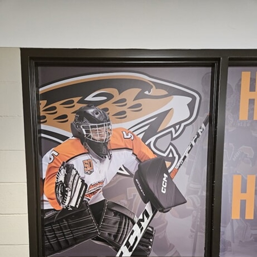 Window & Door Graphics